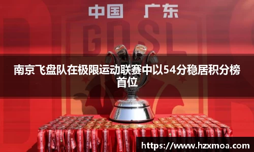南京飞盘队在极限运动联赛中以54分稳居积分榜首位