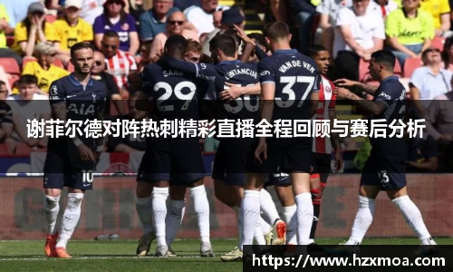 谢菲尔德对阵热刺精彩直播全程回顾与赛后分析
