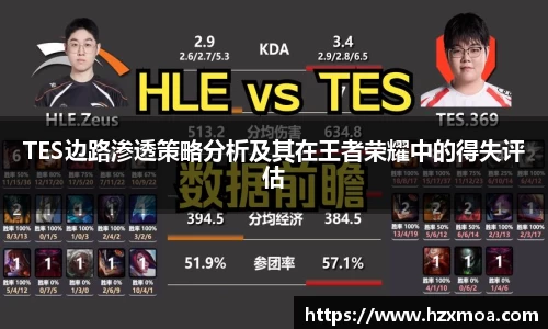 TES边路渗透策略分析及其在王者荣耀中的得失评估