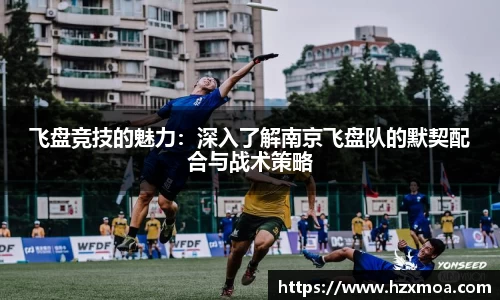威廉希尔官网